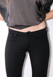 James Jeans Twiggy Ponte